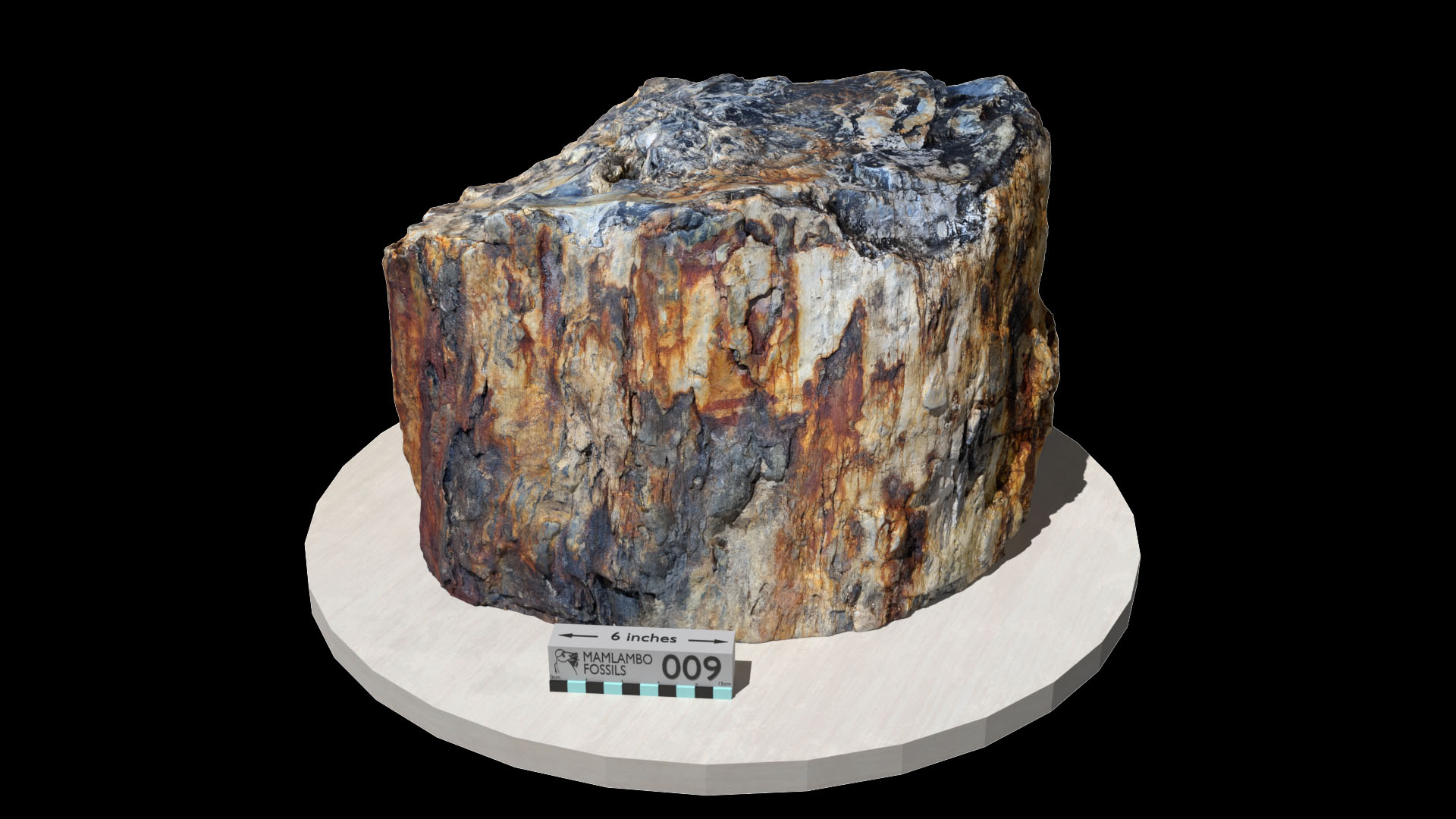 Large petrified wood tree trunk