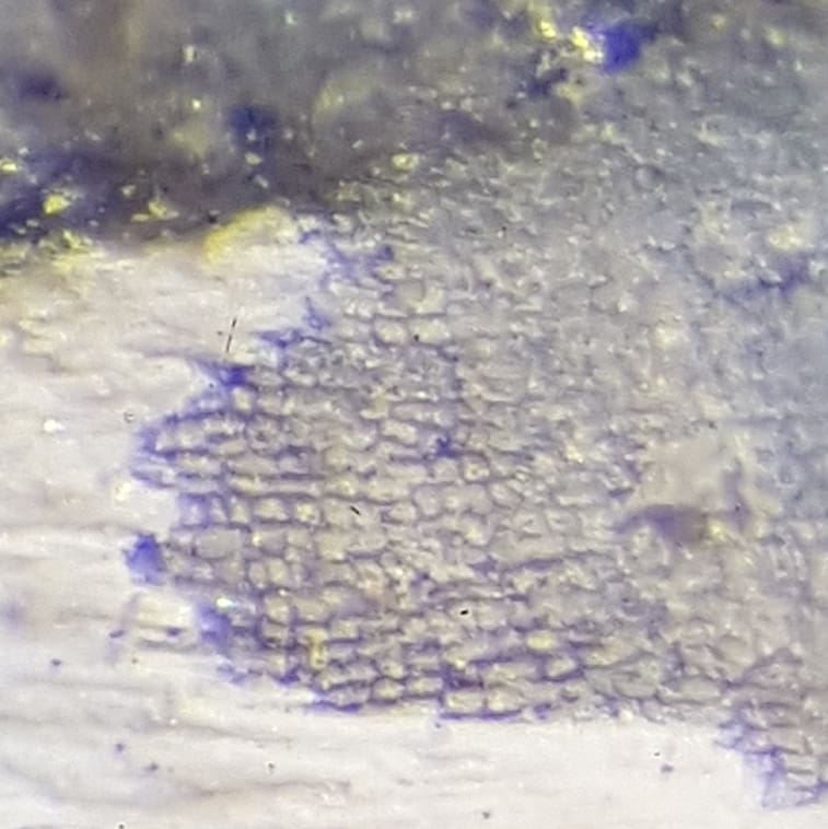 Zoom and enhance! Here's quite an interesting fossil from a deep water Miocene area. It appears to be some plant material which resembles a conifer cone. You can make out what looks like some cell structure at 40x zoom, thanks to @paleo_craig for spotting it.

The current theory is that there is a thin layer of carbon material left underneath some infill which has preserved the cell structure 🤩

This is the first potentially terrestrial plant material I have found at this site.

Swipe to zoom out.

             
