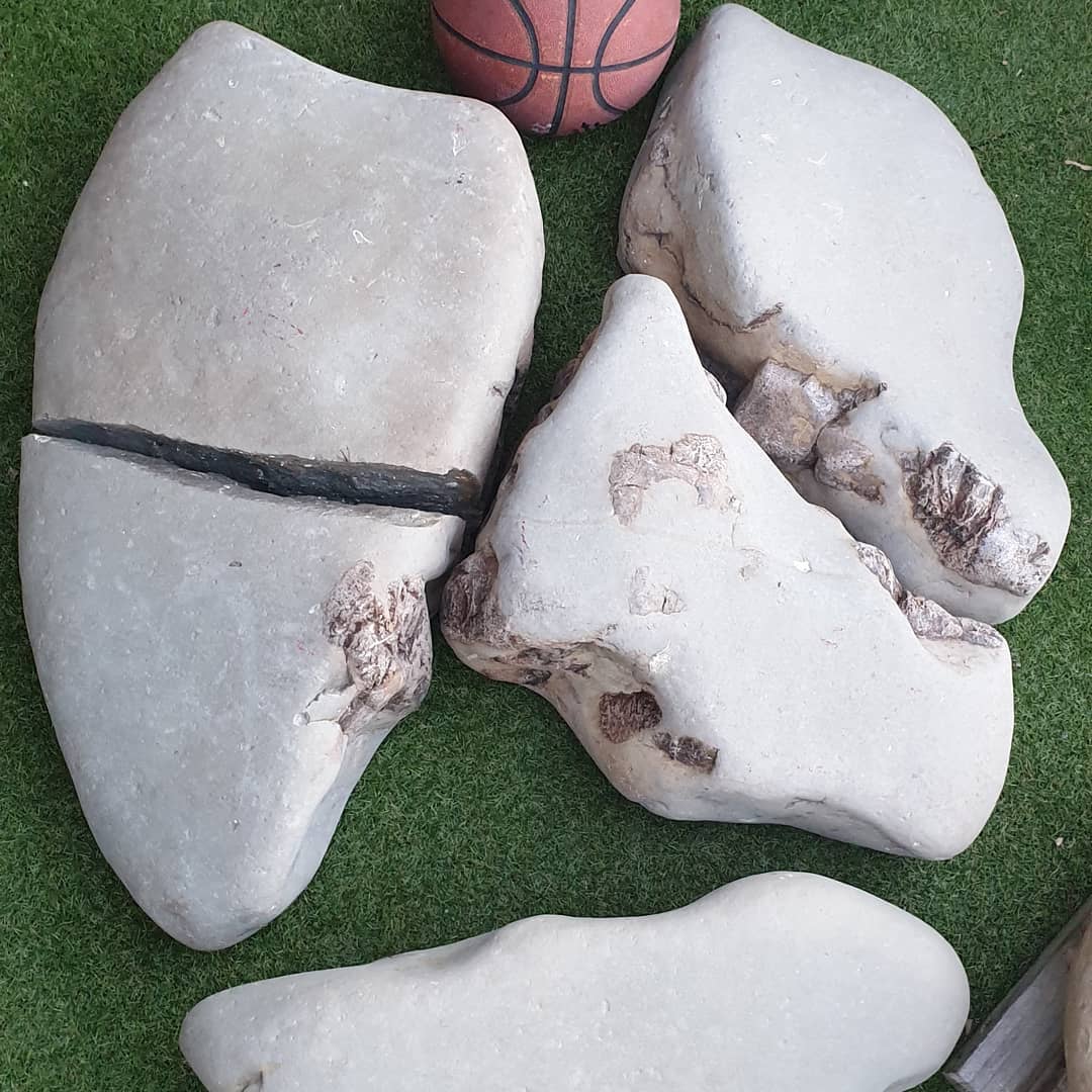 Progress on my fossil whale jigsaw puzzle 😆 its sitting at 250kg so far (550lbs) and it's still missing two parts that I can see. 

It contains the back part of a whale skull including the very diagnostic ear bones. It could help shed some light on the Mid Miocene whale species that were around New Zealand.

I think I have 5 partial whale skulls in my garden now 🤣

            