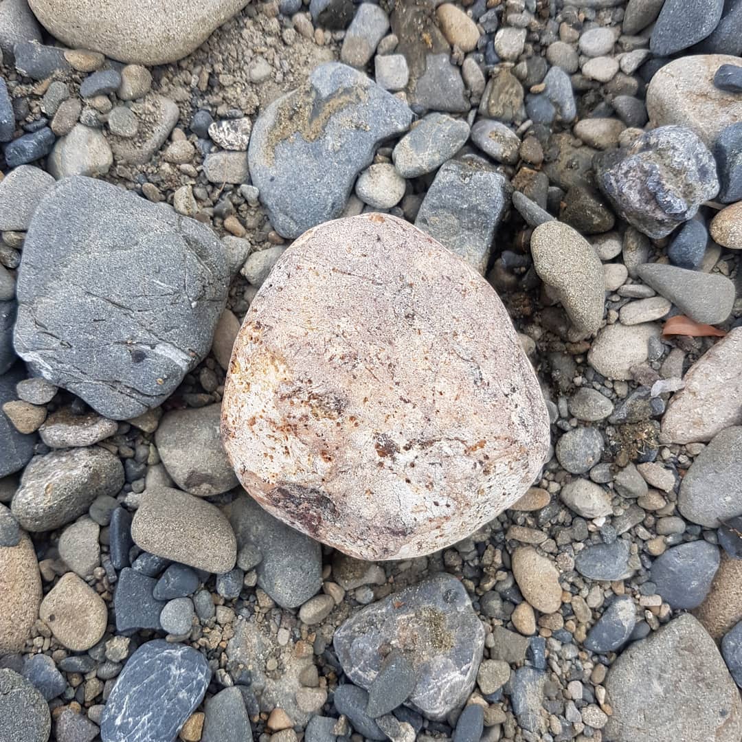 I suspect this is a piece of fossil bone. I'm hoping someone could give me some clue as to what it could be from. Area is cretaceous but also has earlier formations  close by. Any one want to hazard a guess?

          