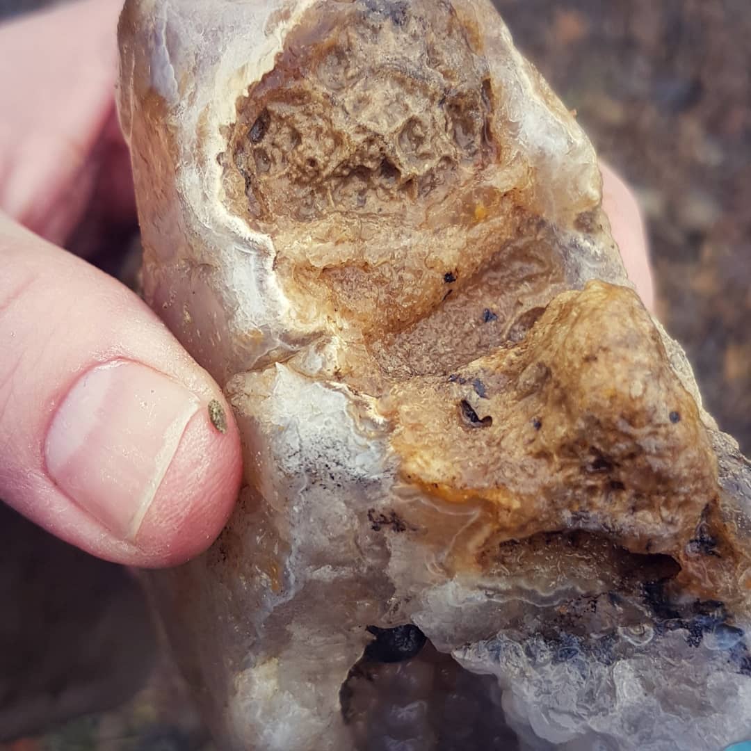 My biggest North Canterbury agate by far. Found it in one of my local rivers in the rain today. Also my first botryoidal agate!

What a beauty!

         