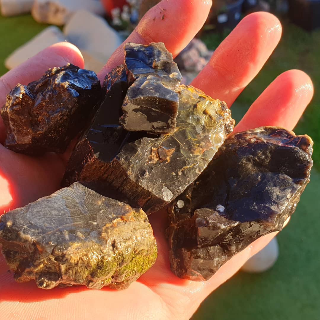 A few nice bits of petrified wood I found today, it only took me 5 hours of searching 😆 The wood has been replaced by silica and it will take a really good polish. I was hoping to find a complete round today but wasn't to be.

It was a great day of exploring and scratching around 😀

         