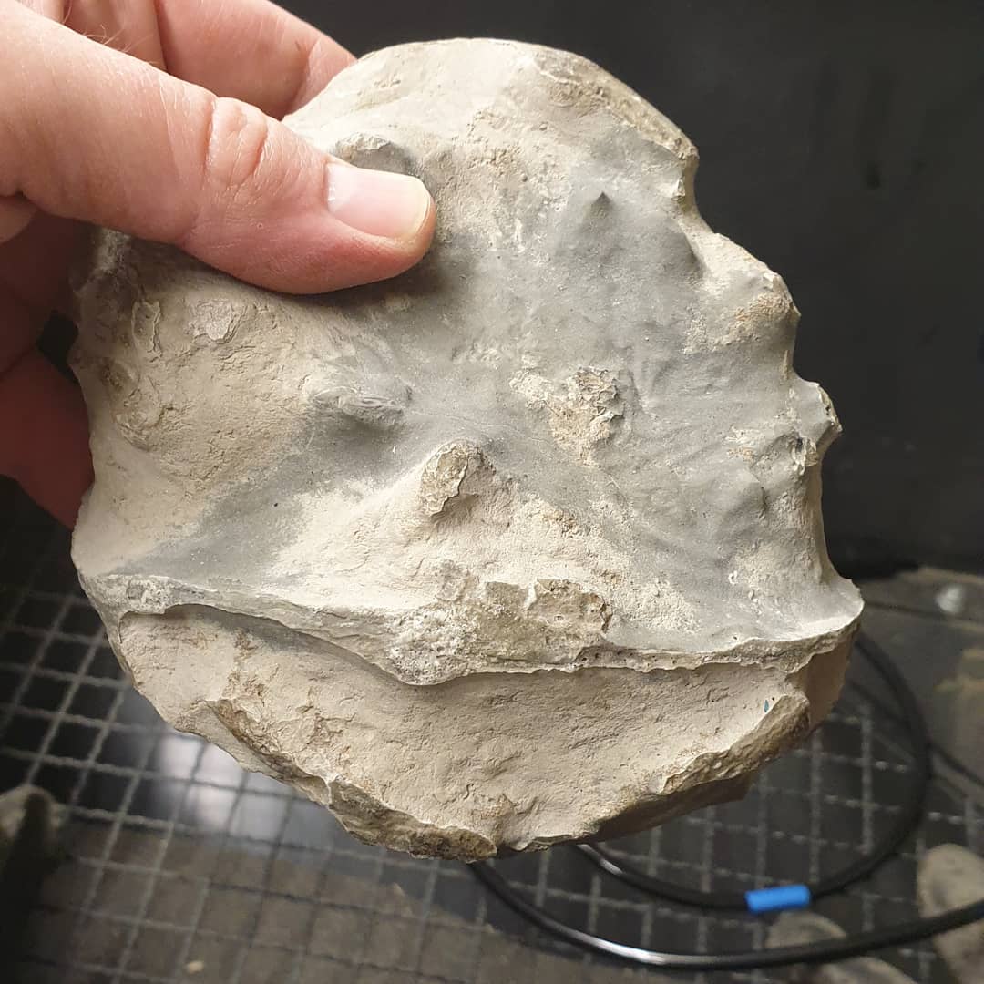 Im just about ready to give my air abrasion setup a go! Just a bit of plumbing still to do and then it's ready to rock. I've gone with the Vaniman Problast and I'm going to start with the softest media until I find something that works well for the fossils we find here.

Between the air scribe, acid and air abrasion I should be able to tackle some of the trickier fossils 🤞

First up is this bone cluster that just won't play nicely with the acid. 

   