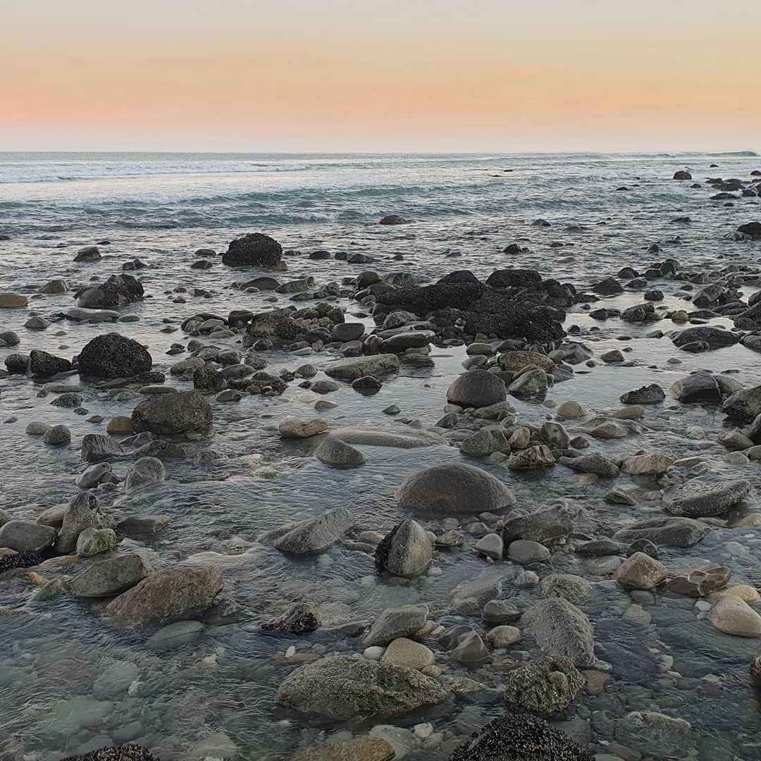 Beautiful day for a fossil hunt! You can't beat a crisp Canterbury winter's day ❄

Swipe to see a mystery crab that I found, it will need some prepping to figure out what species it is 😃 hopefully one of the more rare ones 🤞

          