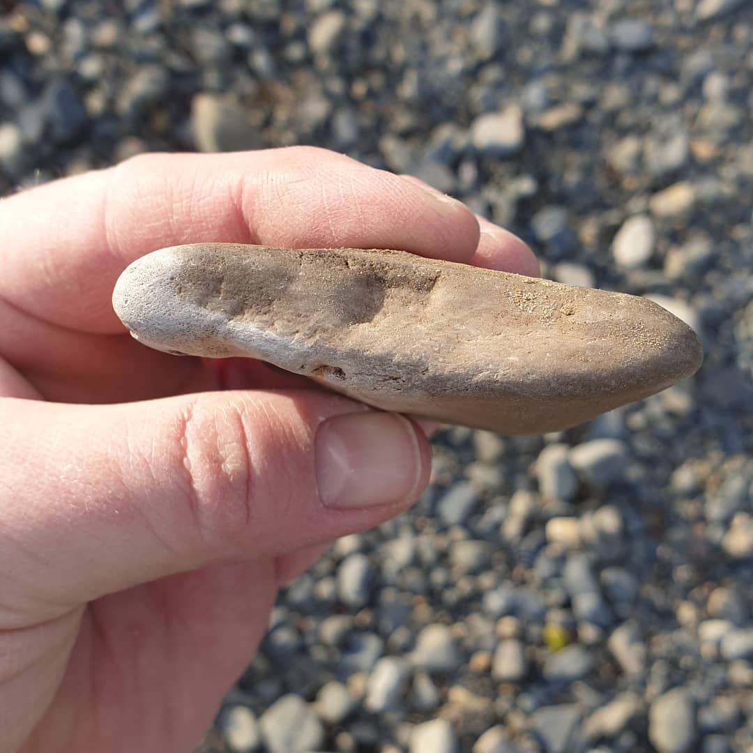 I stumbled across this beautiful piece of petrified wood on the weekend, my first piece in ages!

It has some nice dark, agatized sections as well 😀

Im not sure of the age or species as I
was exploring a new area.

         