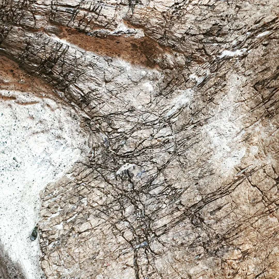 Such beautiful detail on this piece of Cretaceous bone I am working on! I'm hoping to have the video done in the next week, it's one of my more ambitious fossil preps thats for sure!

          