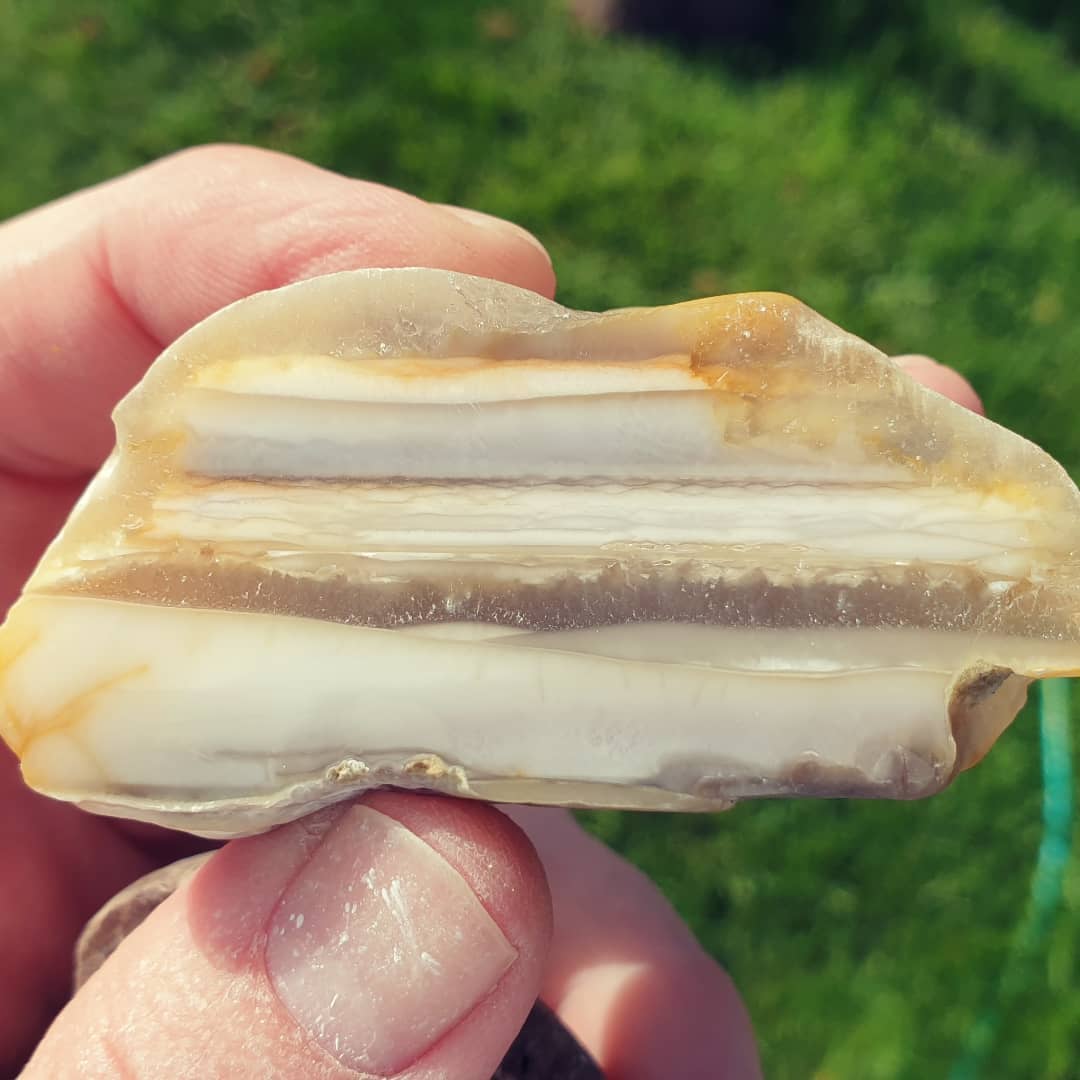 A bit of petrified wood I found recently with some nice growth rings showing. I polished it using some pads I attached to my drill press.

I'm just about done with the video in which I find this bit, it should be up tomorrow 😃

Also, a random agate I found on the same day. Maybe a glacial erratic 🤔