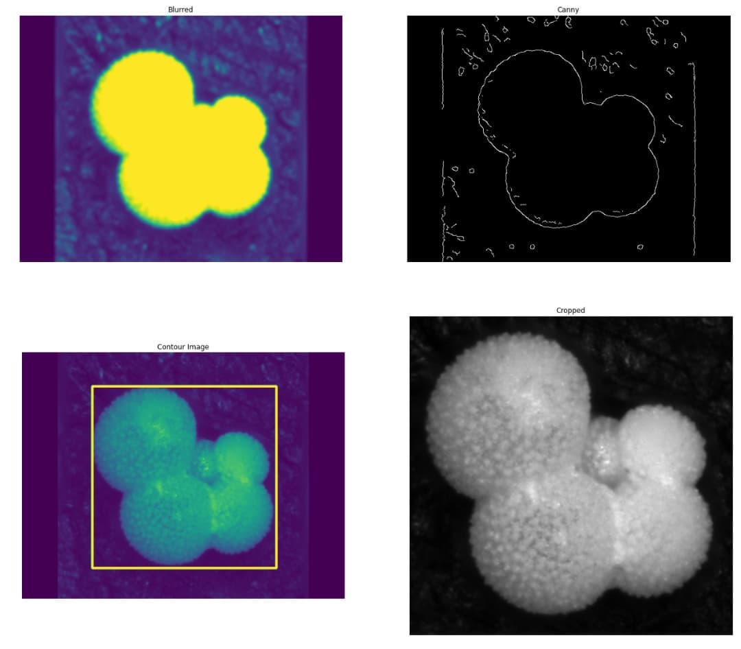I've gone down a bit of a  rabbit hole and tried to create a machine learning model to automatically ID thr species. It's actually working quite well with it correctly getting them about 60% of the time so far 😀 if you know of a nice  image dataset that I can use to train it some more, please let me know!

          