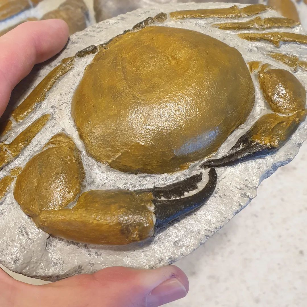 I am blown away by this package I got from a viewer, a 3D printed crab, polished shell, painted scene and a variety of other fossil shells in a handmade wooden tray!!! Thanks so much Stuart, Di, and Caroline. You went to such a huge amount of effort to put this together, I've been smiling all day!! 

I've always wanted to be able to share my fossils with everyone and seeing how realistic this fossil crab replica is, it's totally possible!!!

The painted scene is on the back of a conglomerate of fossil shells as well!!

       