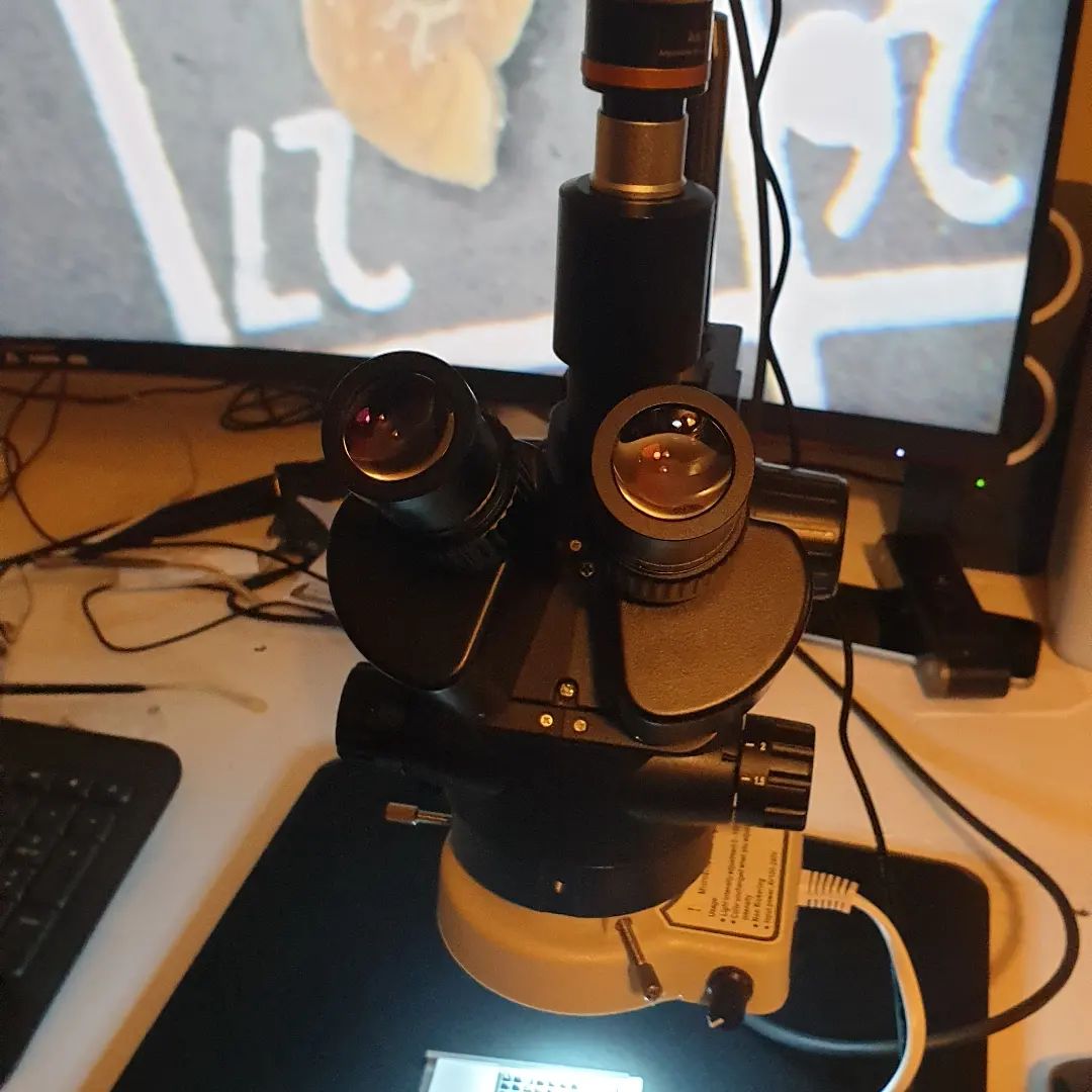 I finally got all the parts together for my new stereo microscope, including a new camera to take some HD footage. Now to take a crack at some of those microfossils!

    