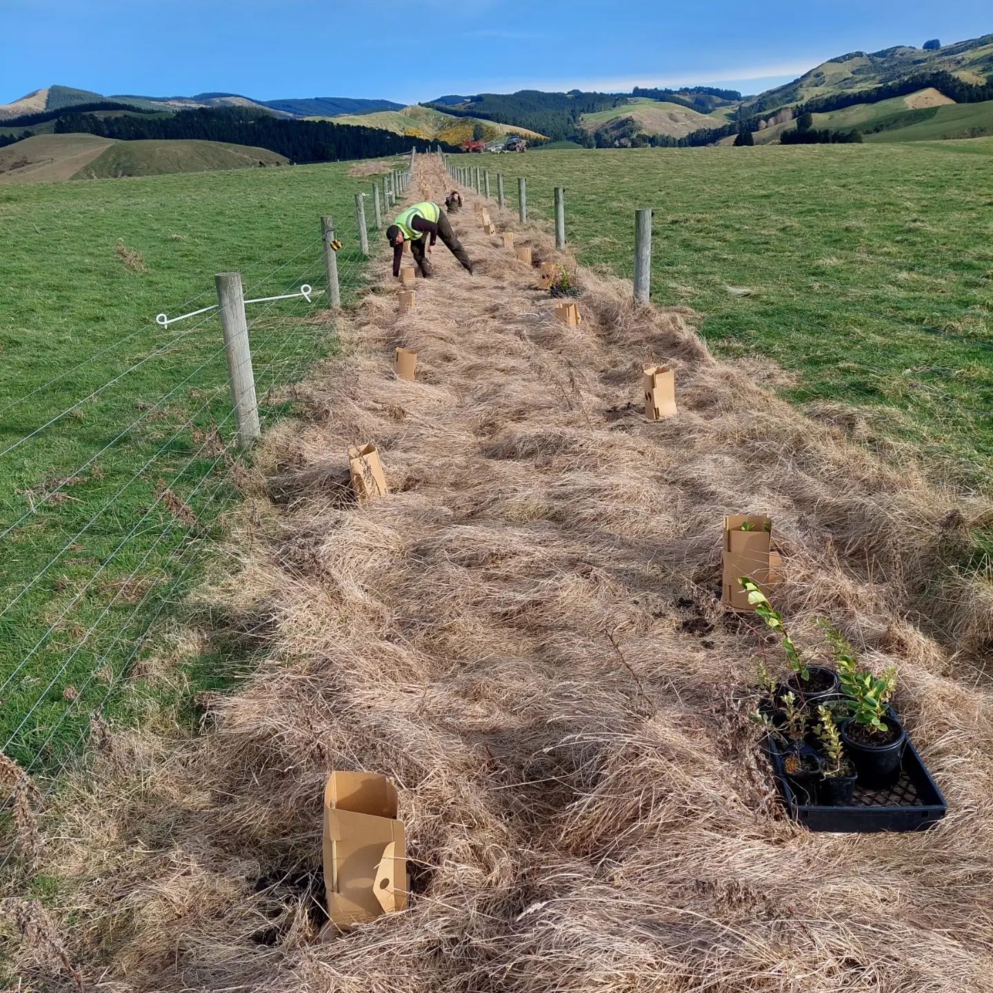 We planted some trees today, more than 500 native species! 14 of us local fossil hunters got together and planted them on the beautiful Glenafric farm where they had prepared some ground for us, as well as providing the trees and a great lunch afterwards!

Thanks to everyone that volunteered and spent their Sunday digging holes in a blustery wind.

Can't wait to see them grow over the coming years.

    