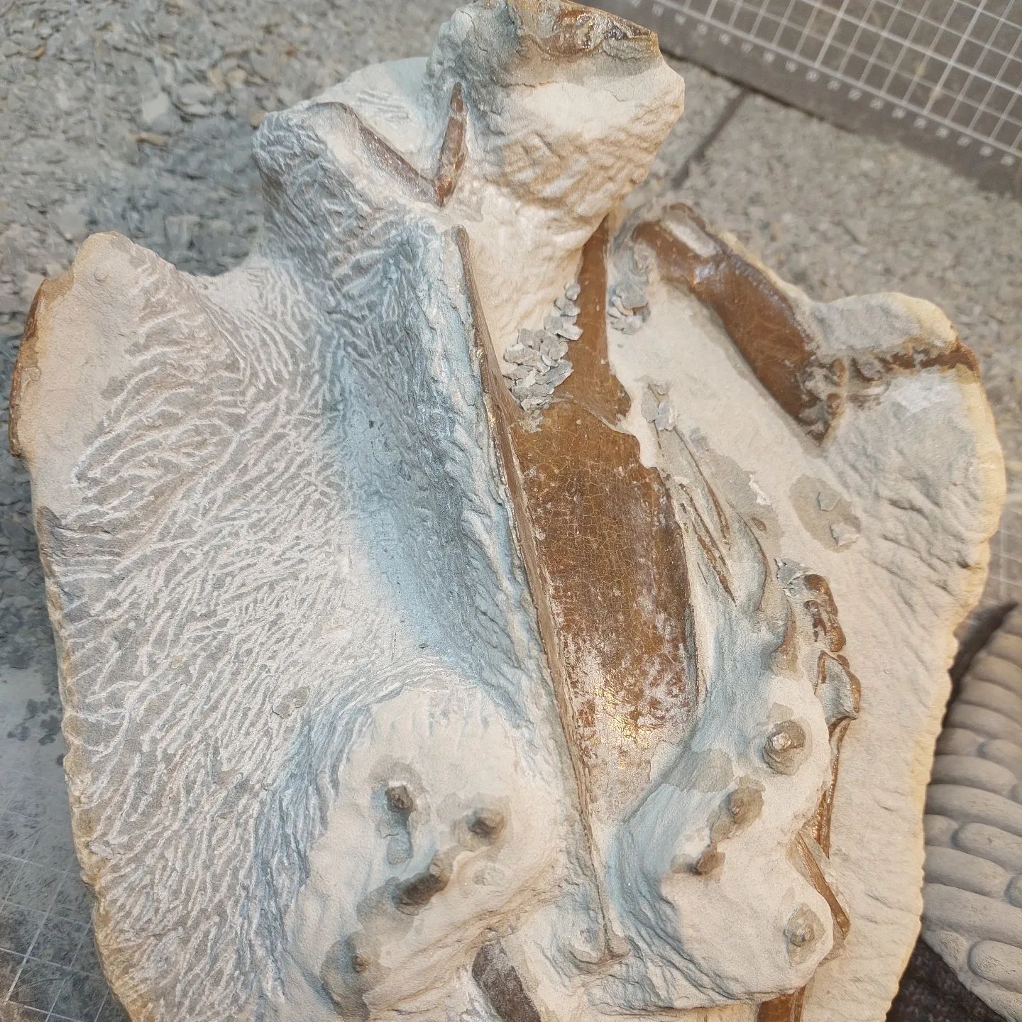 The left side of the penguin is coming along nicely, it's very symmetrical!    