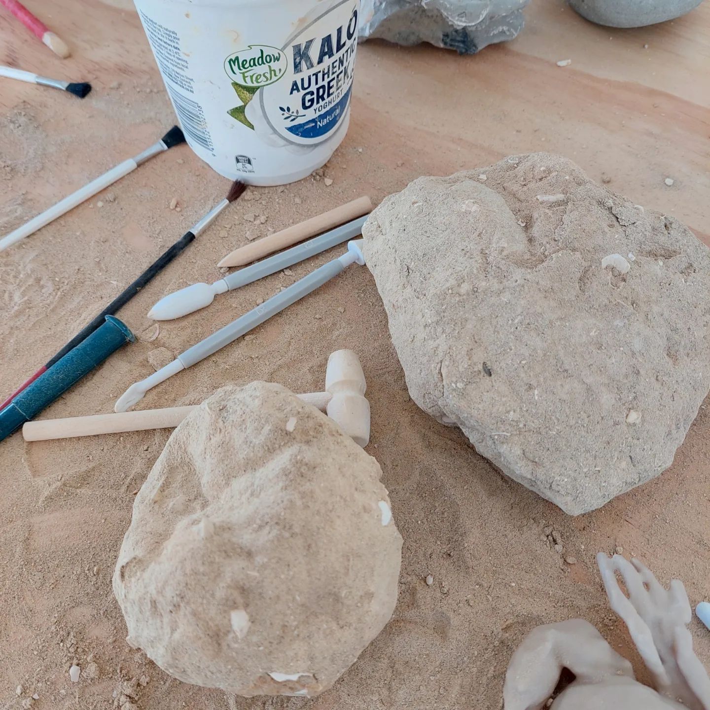 A huge thanks to everyone that visited the fossil workshop today, it was great meeting so many fossil enthusiasts! The kids prep area was super busy 😀      