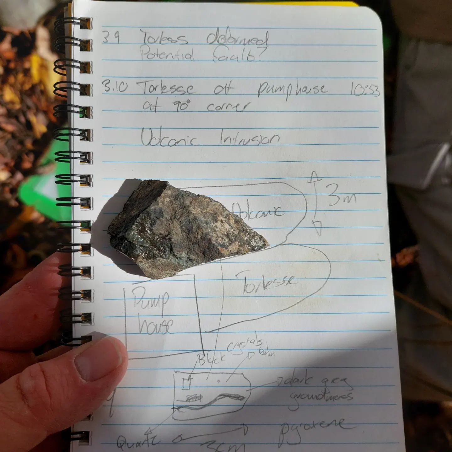 I just got back from an amazing 6 day field trip into the hills near Culverden for Geo240. We mapped the area, made cross sections, found faults, found mice, and hit many, many rocks with our shiny new rockhammers. I learned so much in such a short time and met some really great people.        