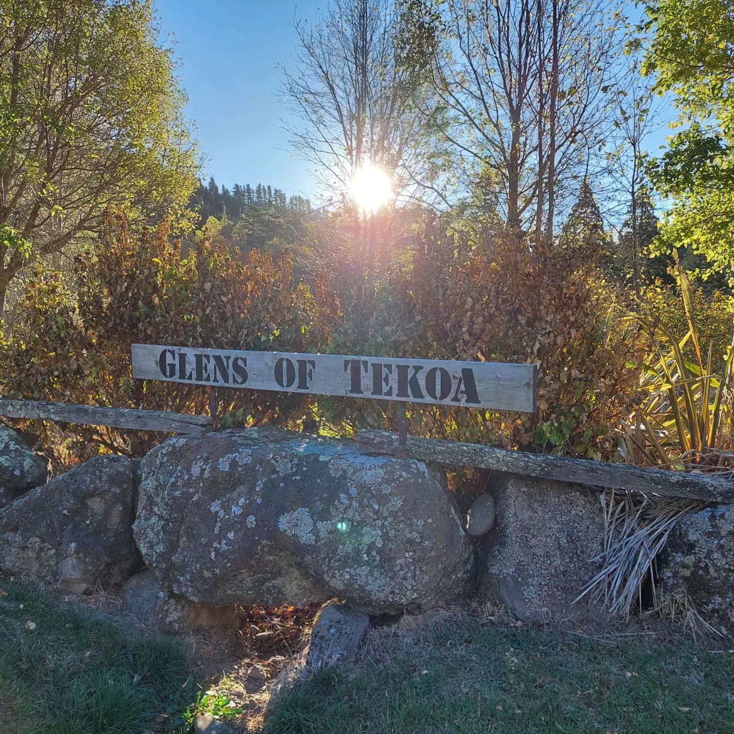 I just got back from an amazing 6 day field trip into the hills near Culverden for Geo240. We mapped the area, made cross sections, found faults, found mice, and hit many, many rocks with our shiny new rockhammers. I learned so much in such a short time and met some really great people.        