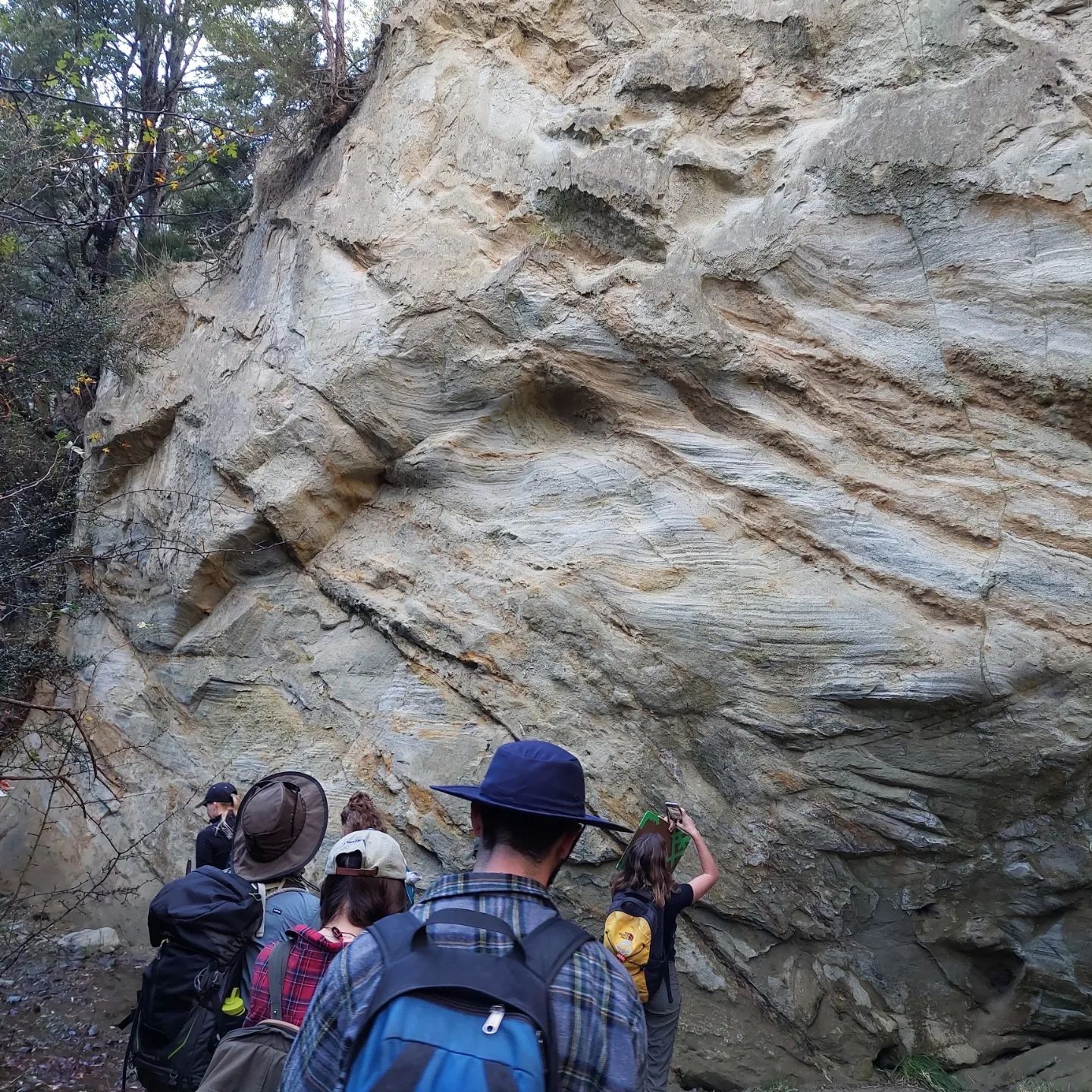 I just got back from an amazing 6 day field trip into the hills near Culverden for Geo240. We mapped the area, made cross sections, found faults, found mice, and hit many, many rocks with our shiny new rockhammers. I learned so much in such a short time and met some really great people.        