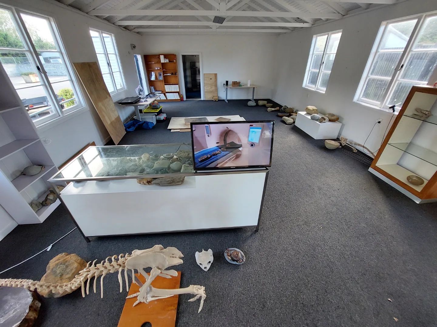 I've started setting up my fossil workshop and display area! It's a beautiful old school building at The Old School collective in Waikuku.

 