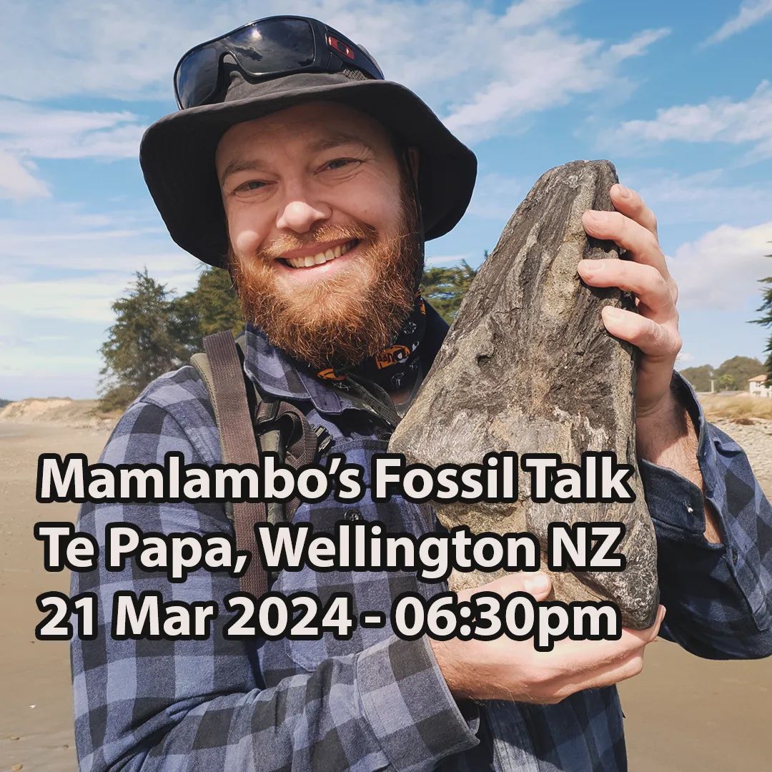 I'll be talking fossils this coming Thursday at 06 30pm, Level 4 Te Papa. I'll be bringing a number of fossils along including the turtle skull, giant crab and much more!

    