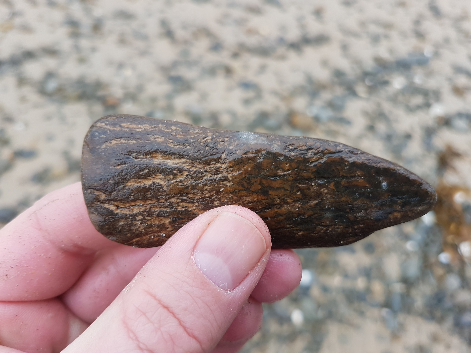 Bone fragment