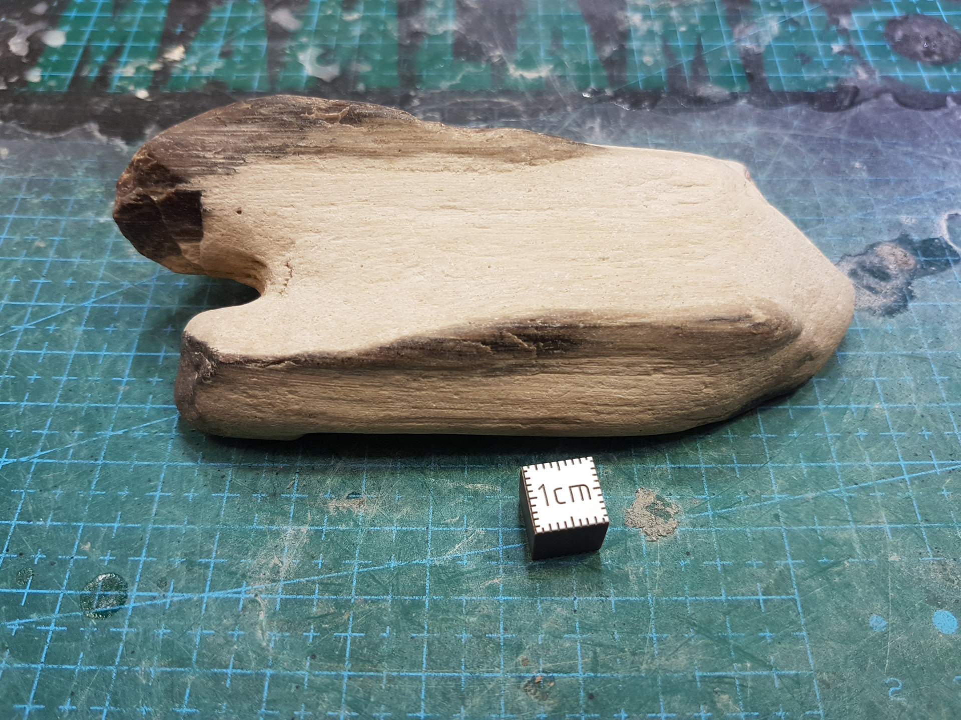 Petrified wood (Kowhai)