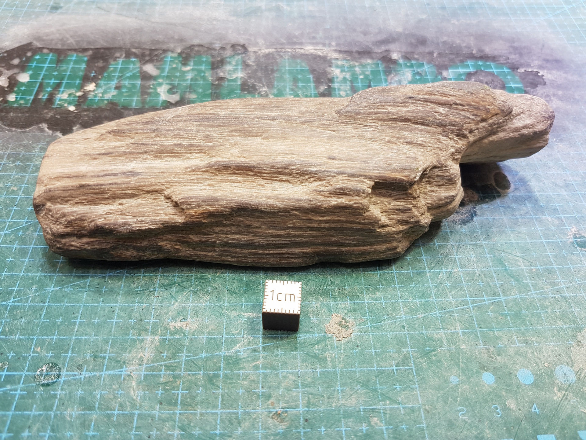 Petrified wood