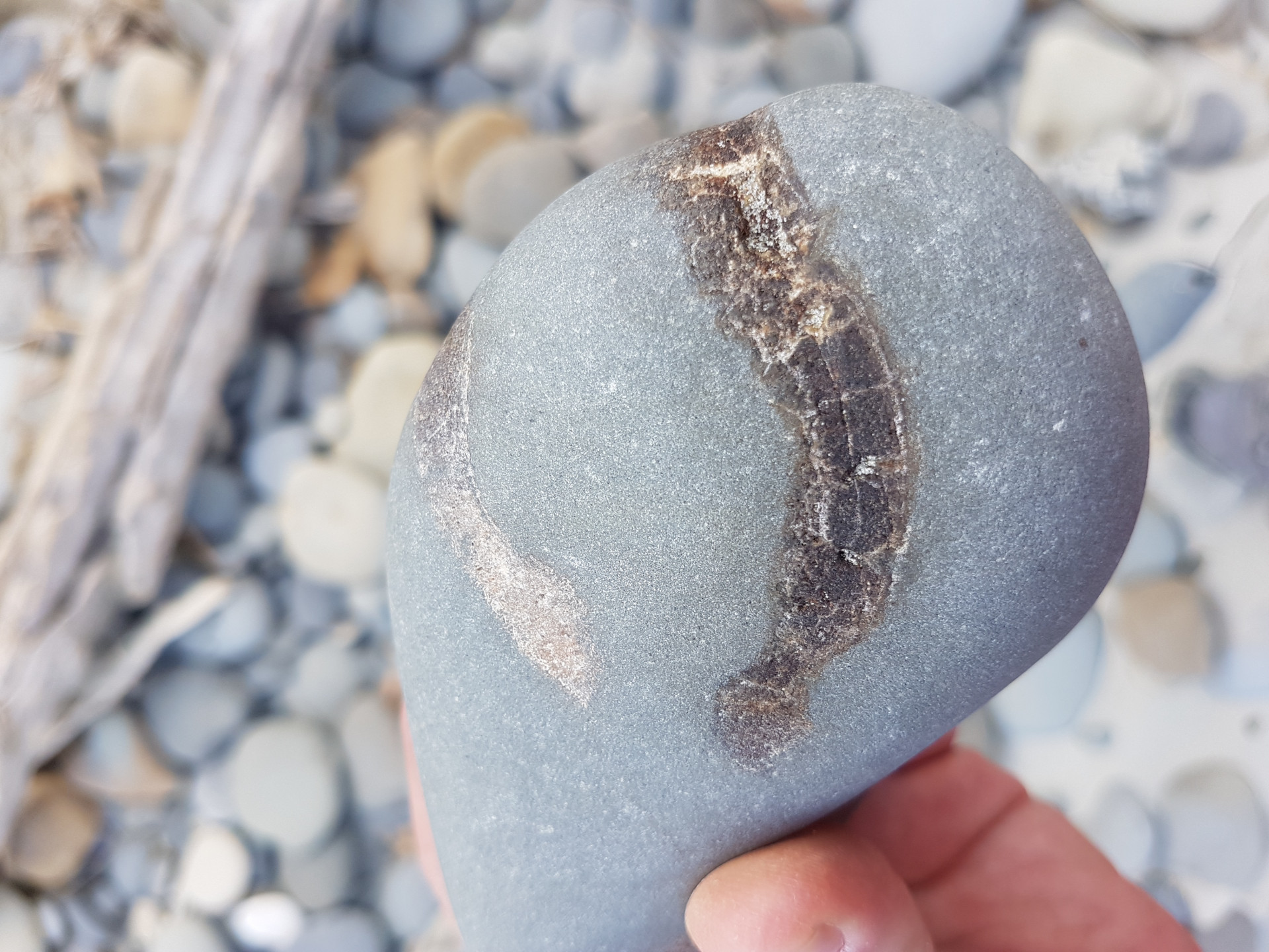 Small bone cluster