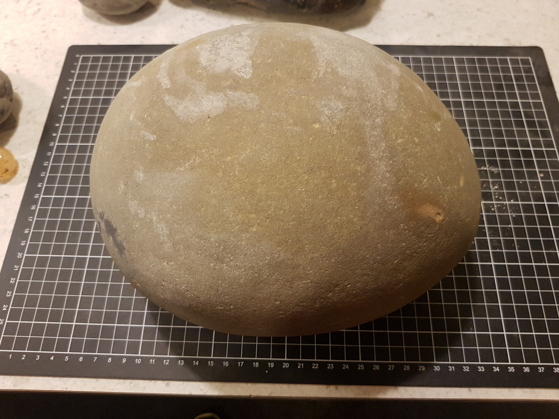 Large Tumidocarcinus concretion - only leg tips showing