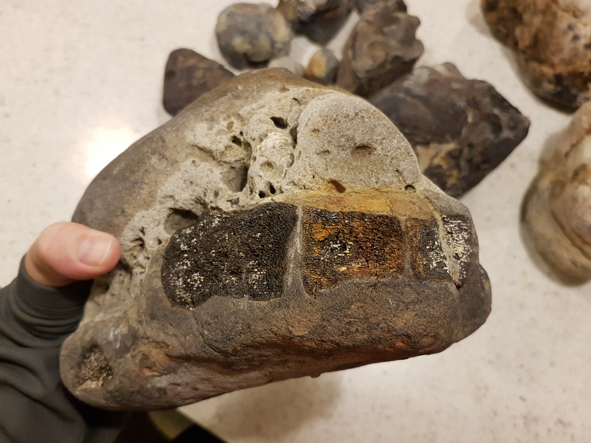 Articulated paddle bones